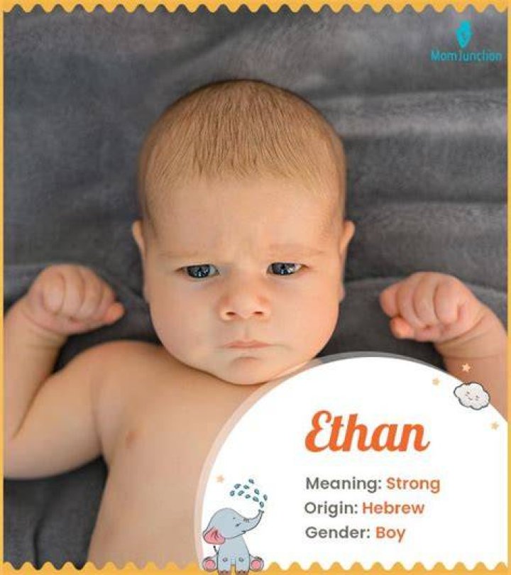 Ethan's estimated Instagram earning